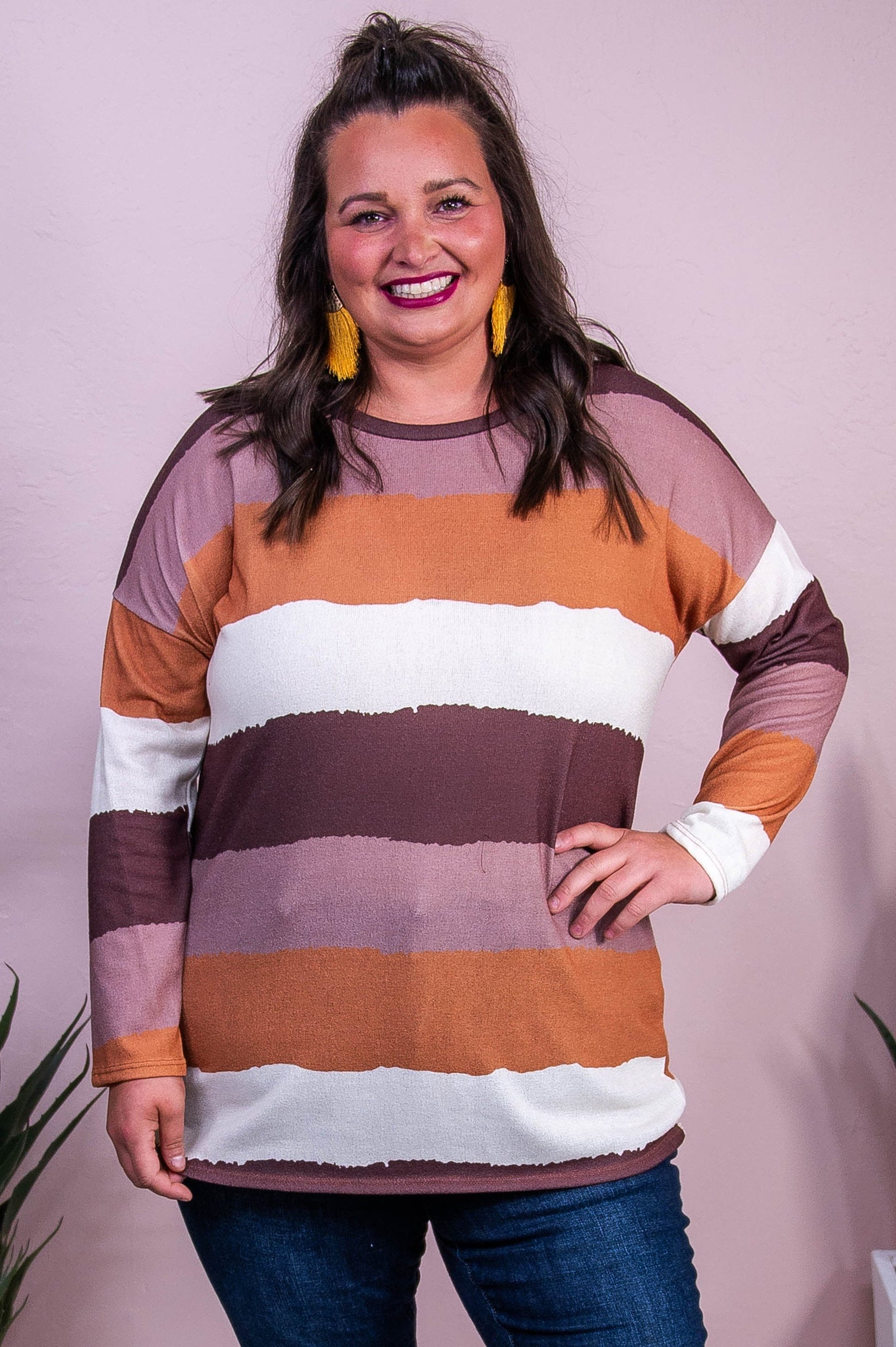 Expand Your Horizon Brown/Multi Color Striped Top - T10337BR