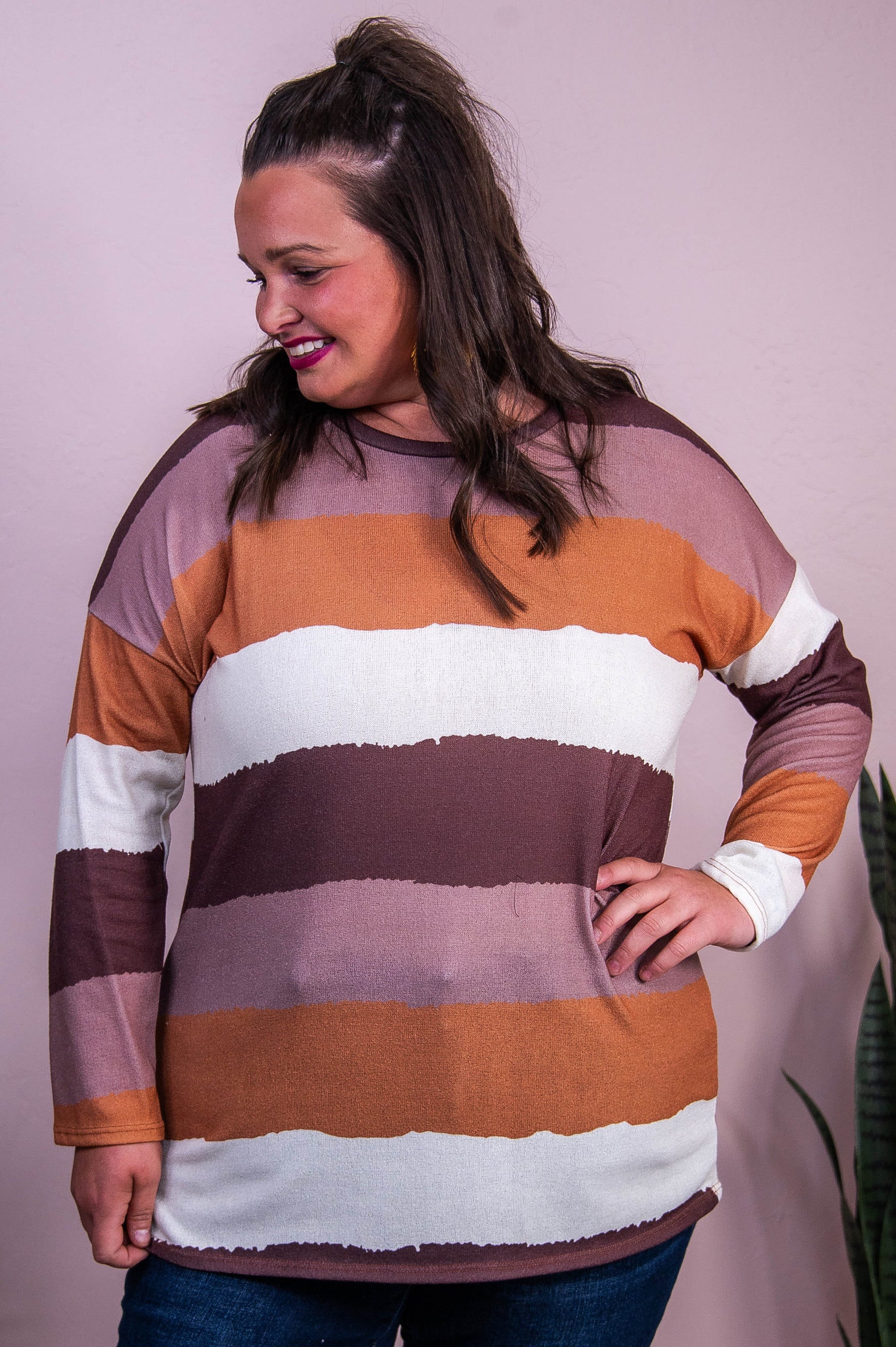 Expand Your Horizon Brown/Multi Color Striped Top - T10337BR