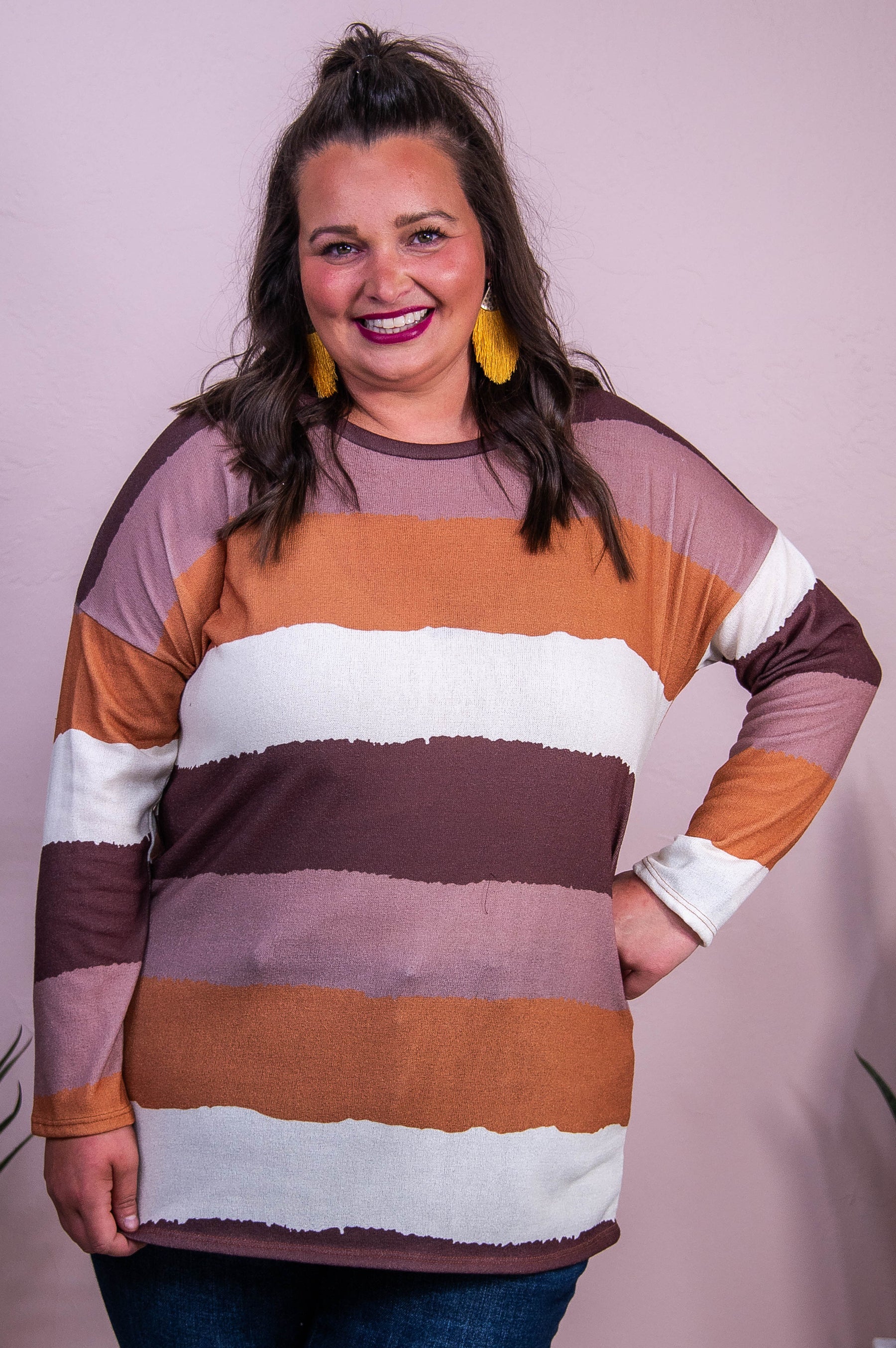 Expand Your Horizon Brown/Multi Color Striped Top - T10337BR