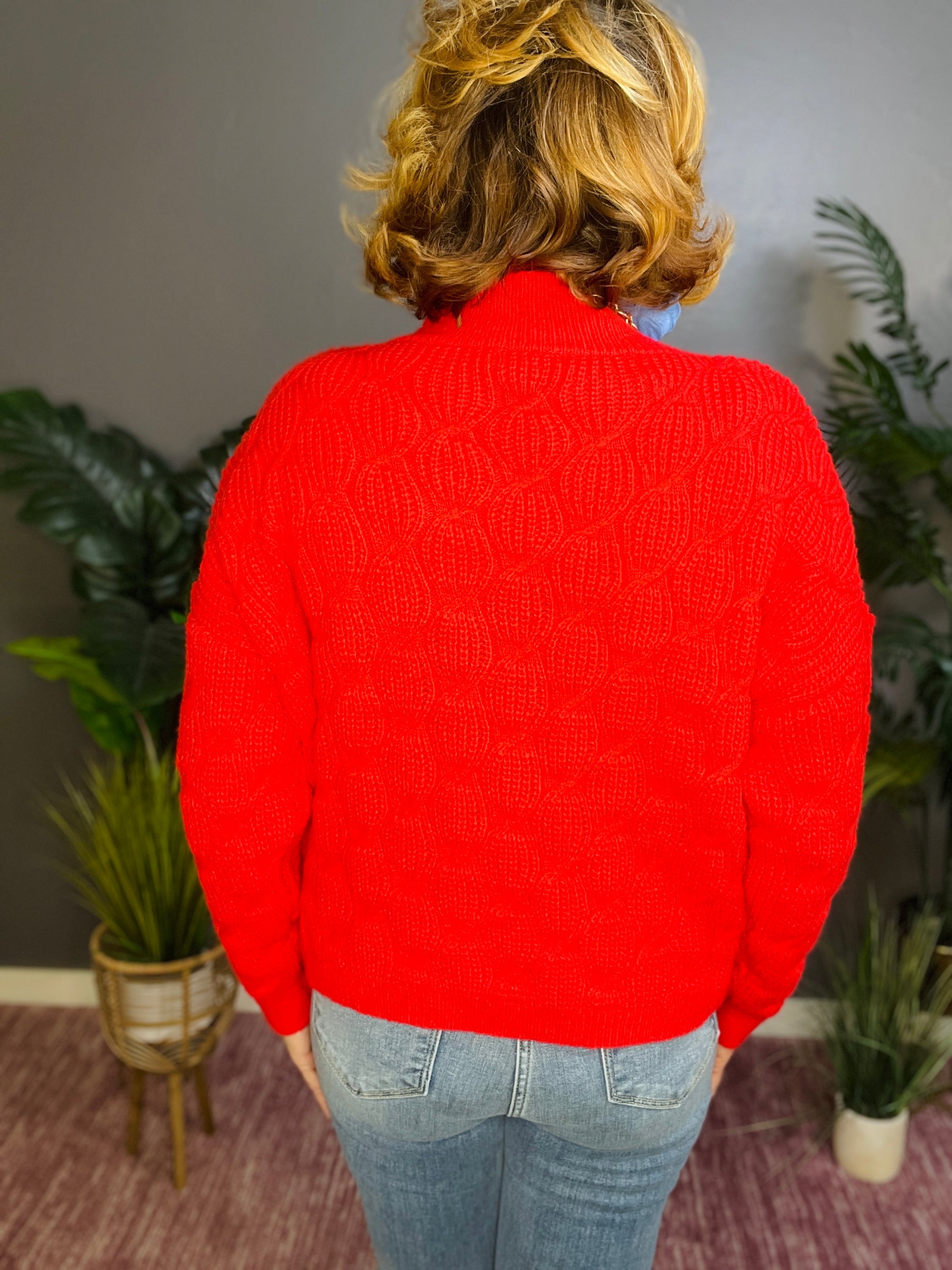 Cozy Up Cable Red Mock Sweater - S001RD