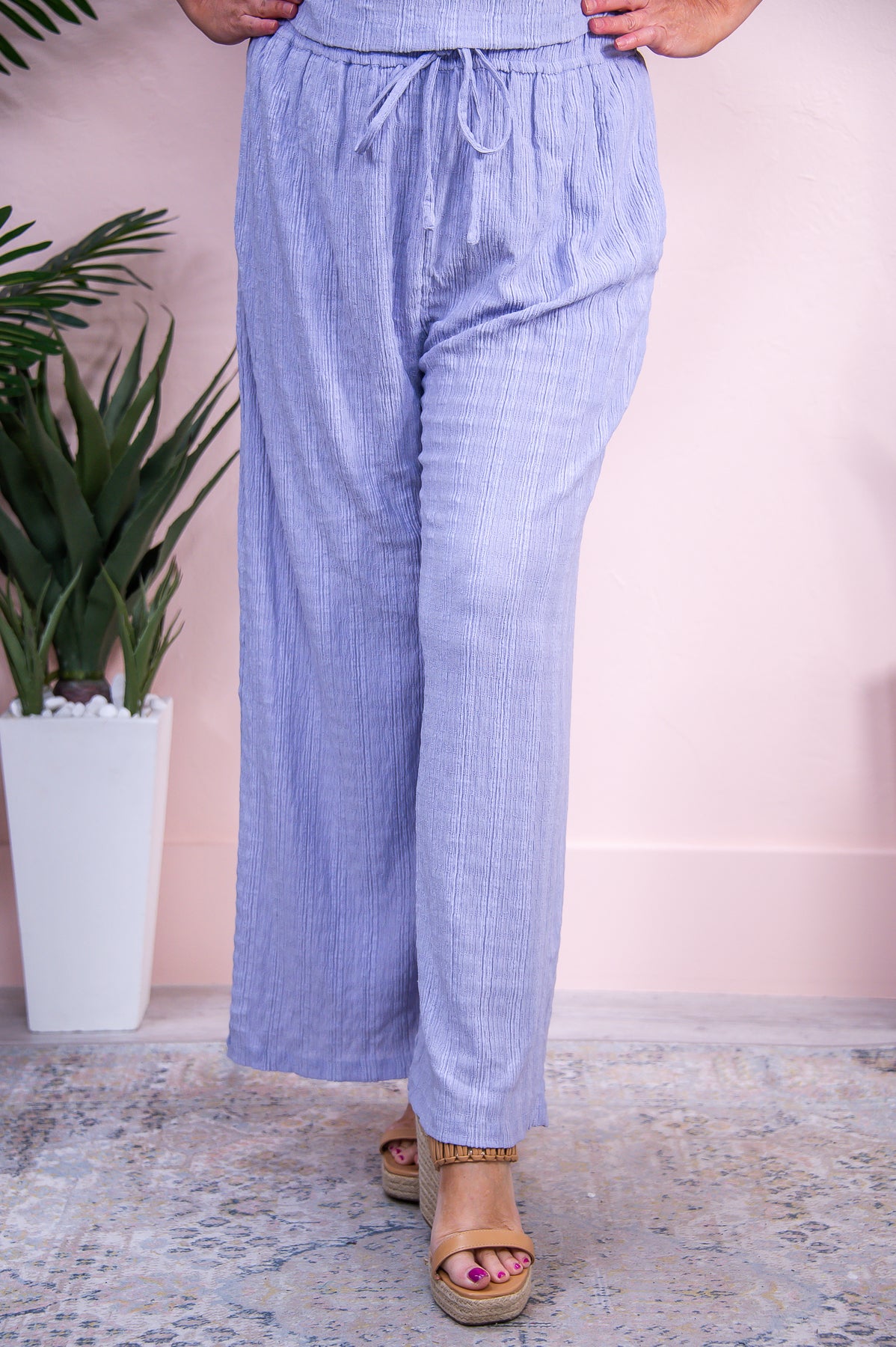 Cool & Collected Lavender Solid Pants - PNT1601LI