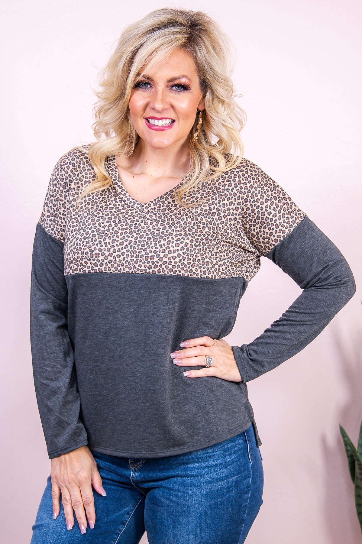 Snow Covered Hills Charcoal/Taupe Printed Top - T8163CH
