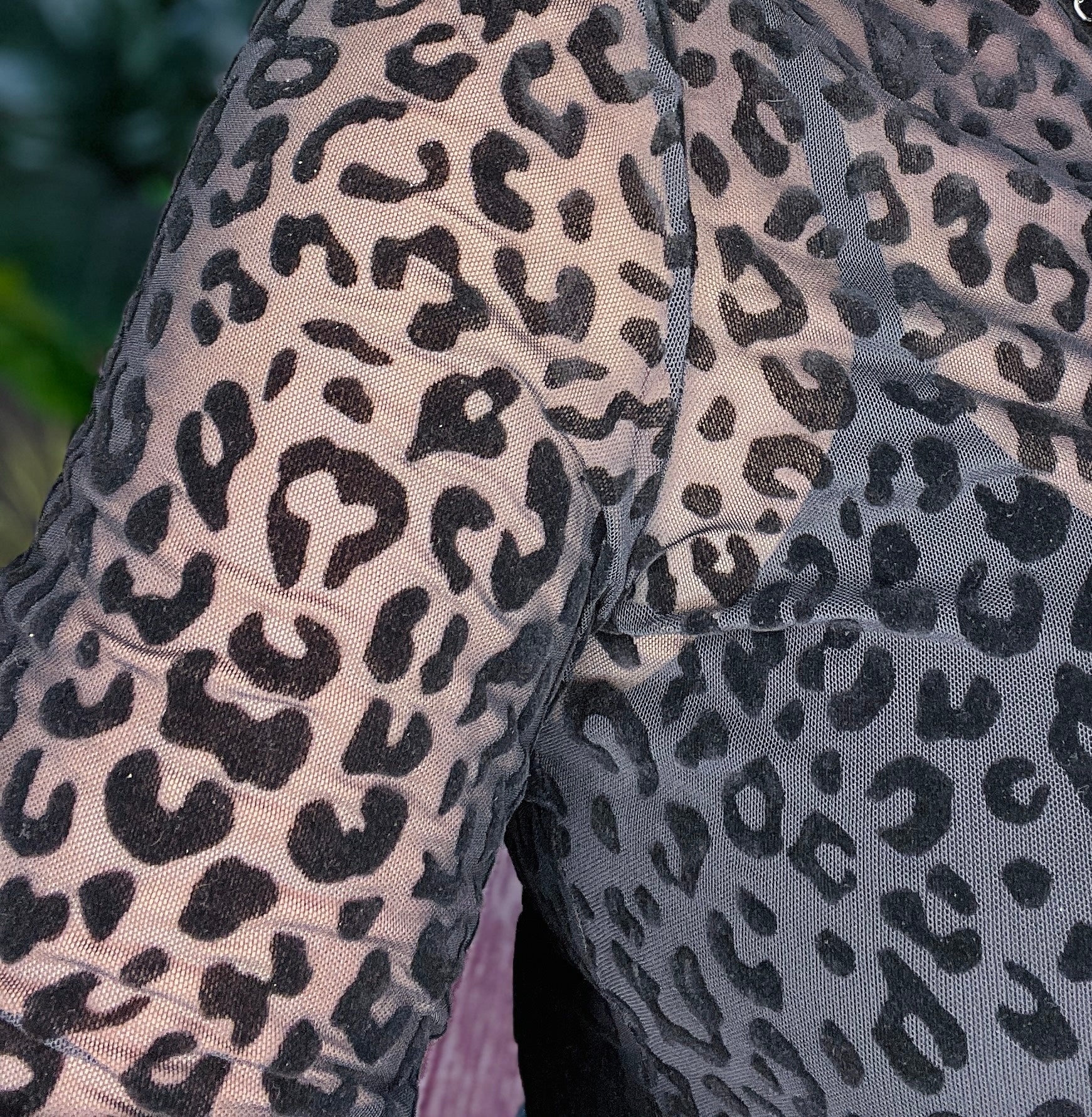 Wild For Layers Sheer Top