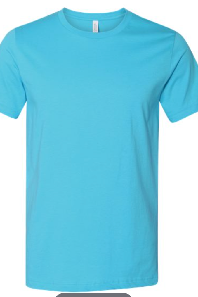 3001 Turquoise