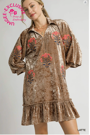 Glam Made Easy Latte Velvet Embroidered Dress - DR032LA