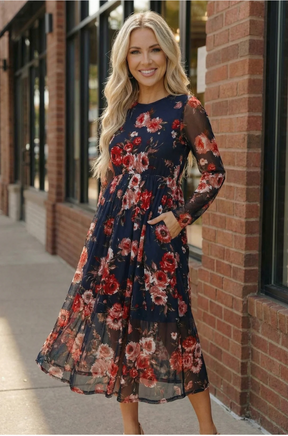 Rosy Romance Mesh Dress