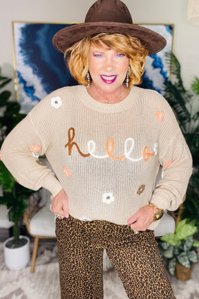 Well Hello There Sweater - T248BG
