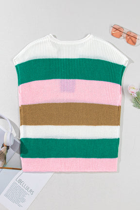 In Living Color Block V Neck Sweater